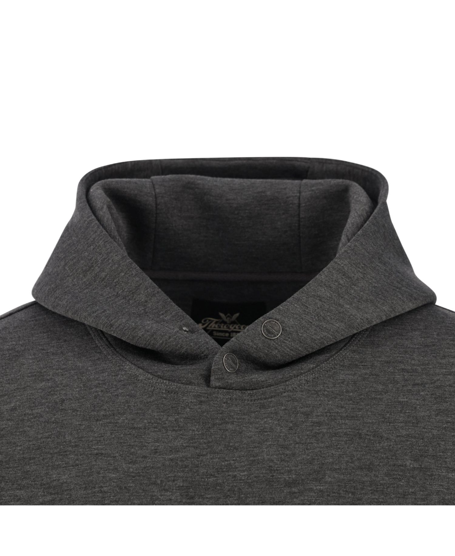 Big & Tall Water Repellent Snap Neck Performance Pullover Hoodie