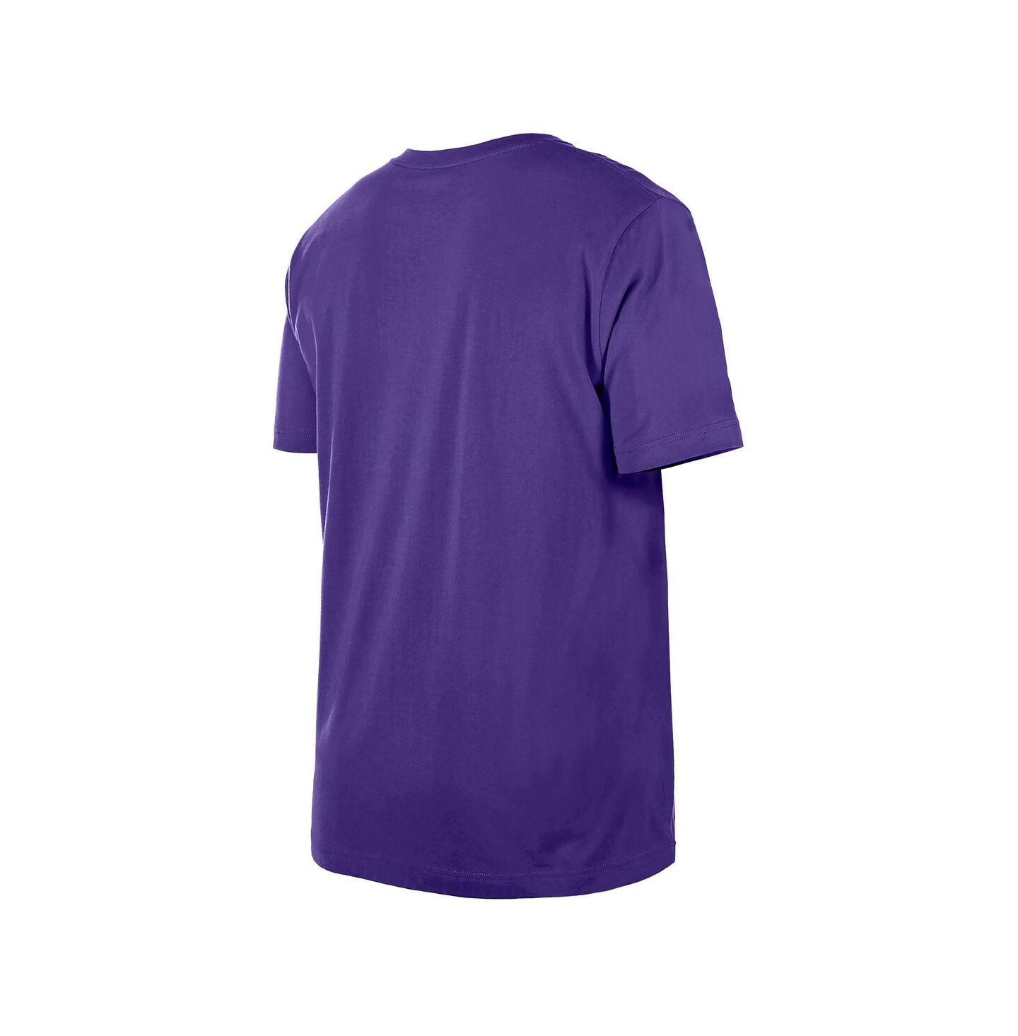 Мужские футболки New Era Purple Phoenix Suns Distressed Throwback Vintage Color Pack — фото 3
