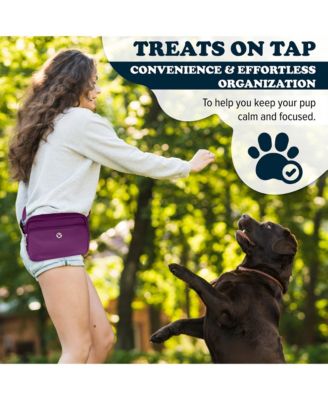 3-in-1 Dog Walk Bag, Travel Bowl, & Reflective Leash with Matching Planet-Safe Dog Poop Bags