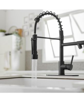 Contemporary Single Handle Pull-Down Spring Faucet with Sprayer and Deck Plate Commercial Kitchen Faucet