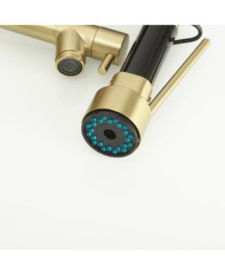 Contemporary Single Handle Pull-Down Spring Faucet with Sprayer and Deck Plate Commercial Kitchen Faucet