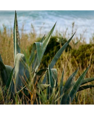 16-300mm f/3.5-6.7 DC OS Contemporary Lens for L Mount, Black