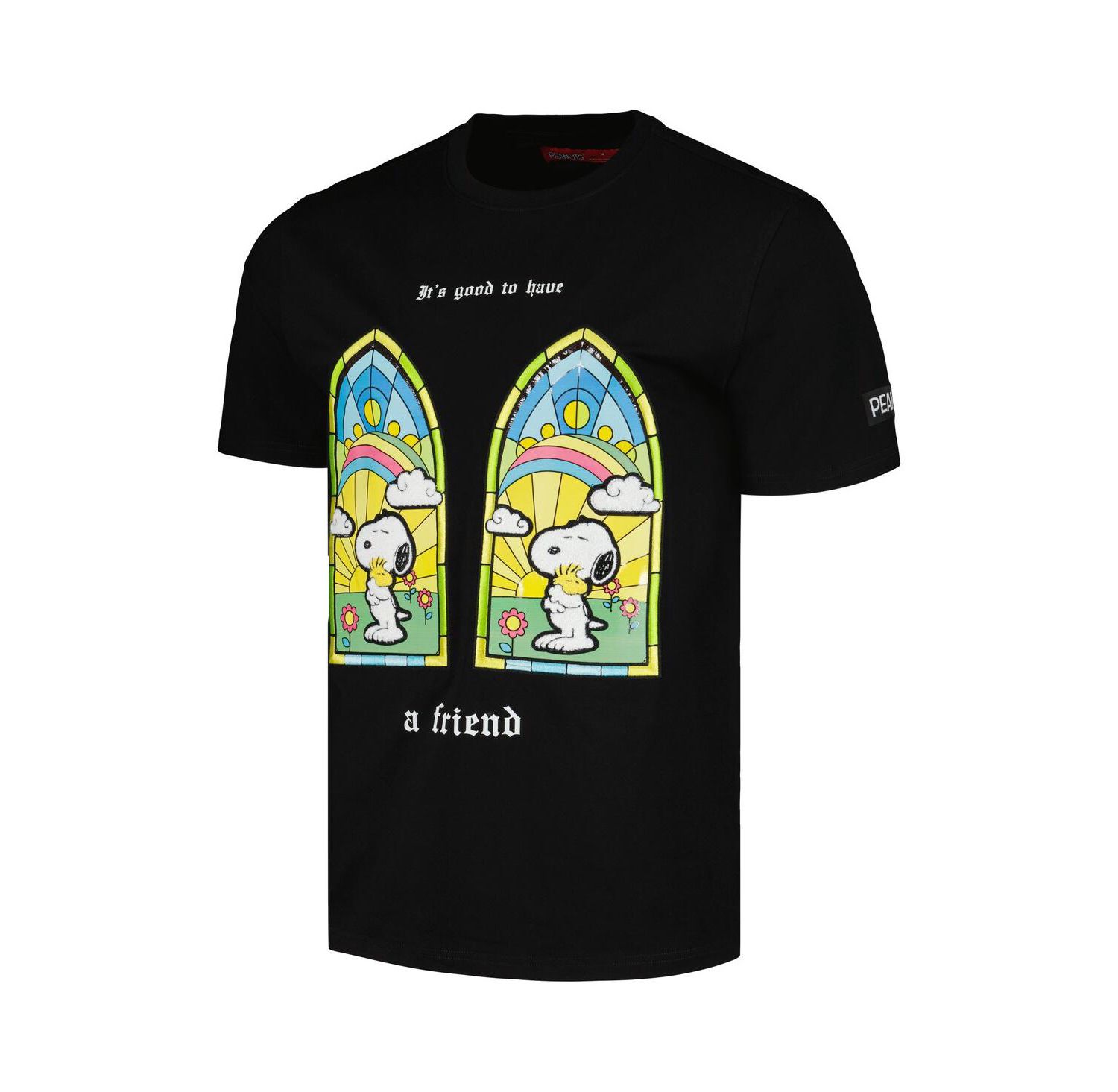 Men's and Women's Black Peanuts Snoopy a Friend T-Shirt