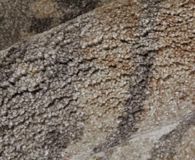 Skyview 39QBF 6'7"x9'6" Area Rug