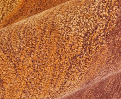 Anya 8921F 8'x10' Area Rug