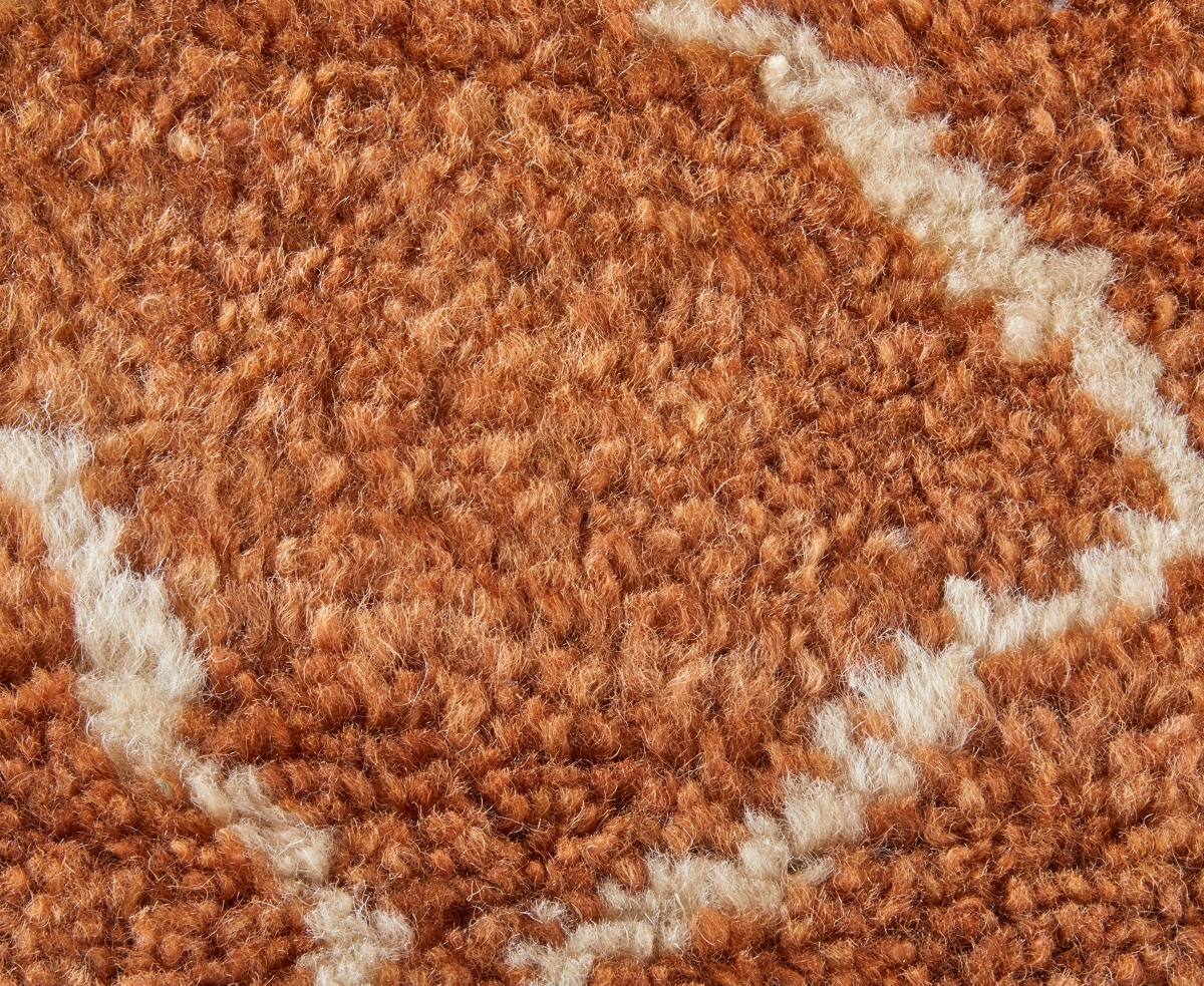 Feizy Agape 69H8F 7'9"x9'9" Area Rug
