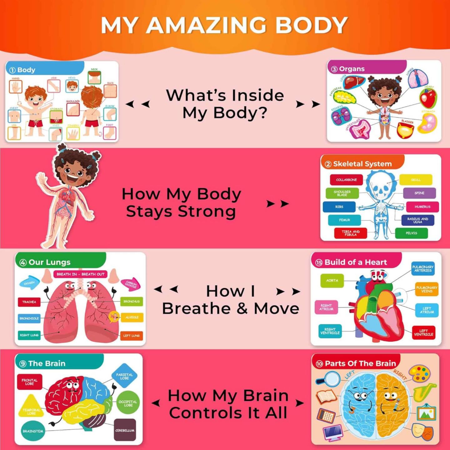 Детские игрушки Quokka Montessori Busy Book Interactive Pages, Ages 3+, цвет: Our Body — фото 6