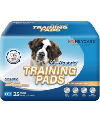 HoneyCare