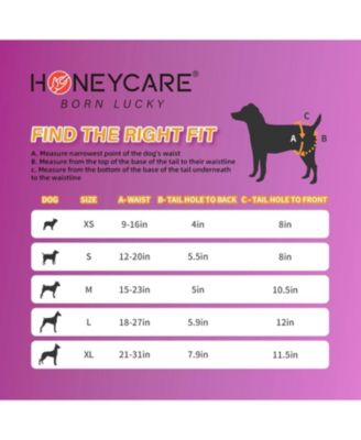 All-Absorb Disposable Female Dog Diapers, Super Absorbent, Breathable, Wetness Indicator, Medium, 15-23 inches, 44ct