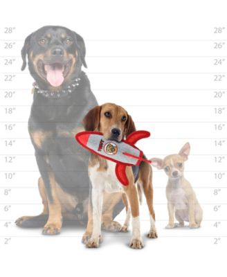 Transportation Rocket, 2-Pack, Durable Plush Dog Toy