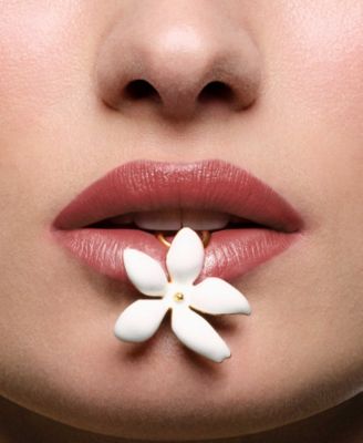 Fabulous Kiss Sheer Lipstick Refill