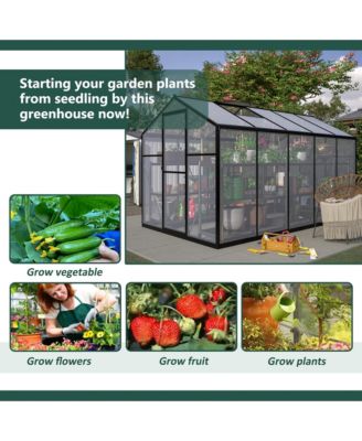 6'x12' Thick Polycarbonate Greenhouse with Double Flush Door