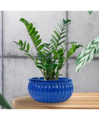  Ceramic Ribbed Planter Bowl - Imperial Blue - 14.5" Round
