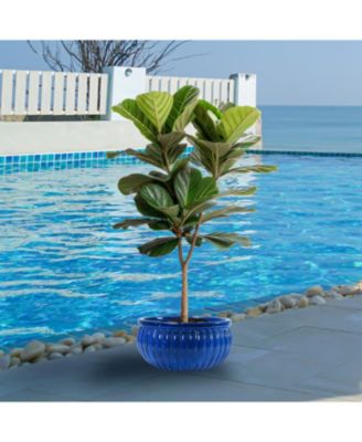  Ceramic Ribbed Planter Bowl - Imperial Blue - 14.5" Round