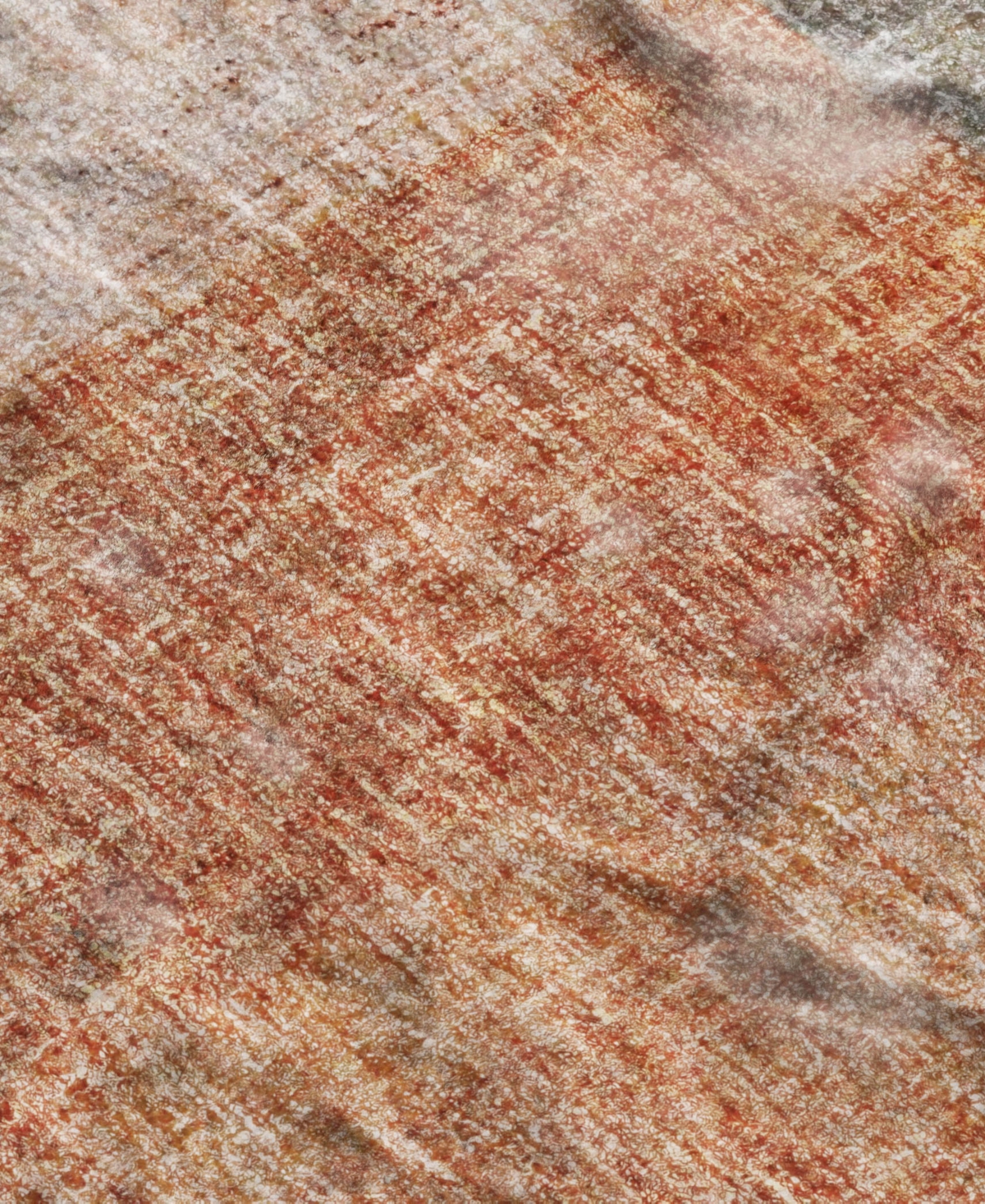 Dalyn Boca Washable Bo1 10'x14' Area Rug In Orange