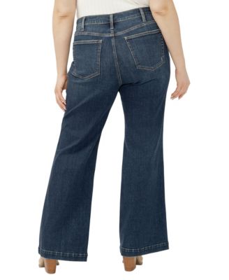 Plus Size Avery High Rise Curvy Fit Jeans