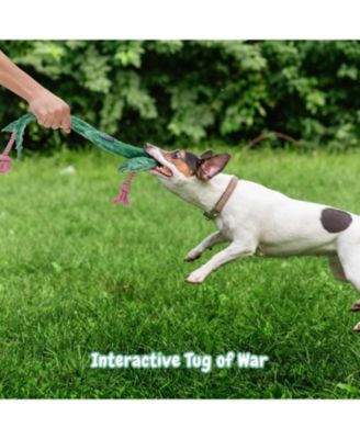 Toad of War Dog Rope Toy,Christmas gift,Durable Rope Toy for Tug of War,Interactive Squeaky Tug Toy for Small Medium Dogs