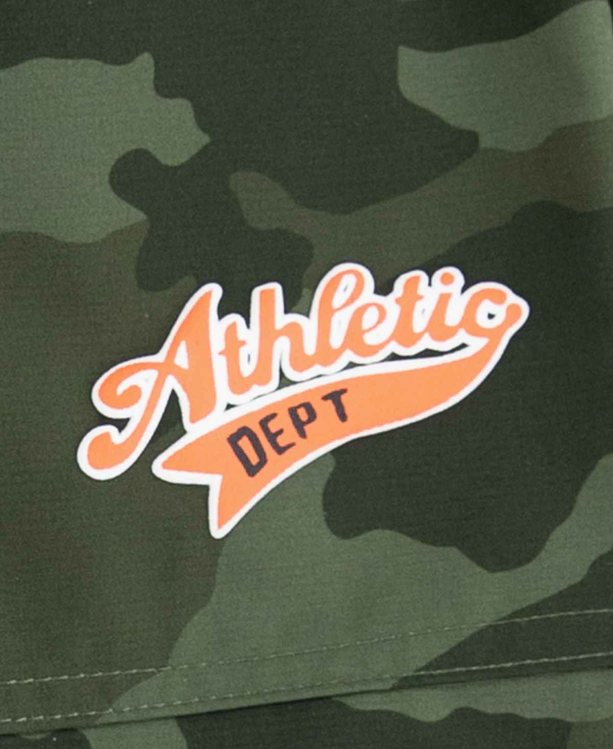 Sovereign Code Big Boys All Over Print Camo Pants In Multi