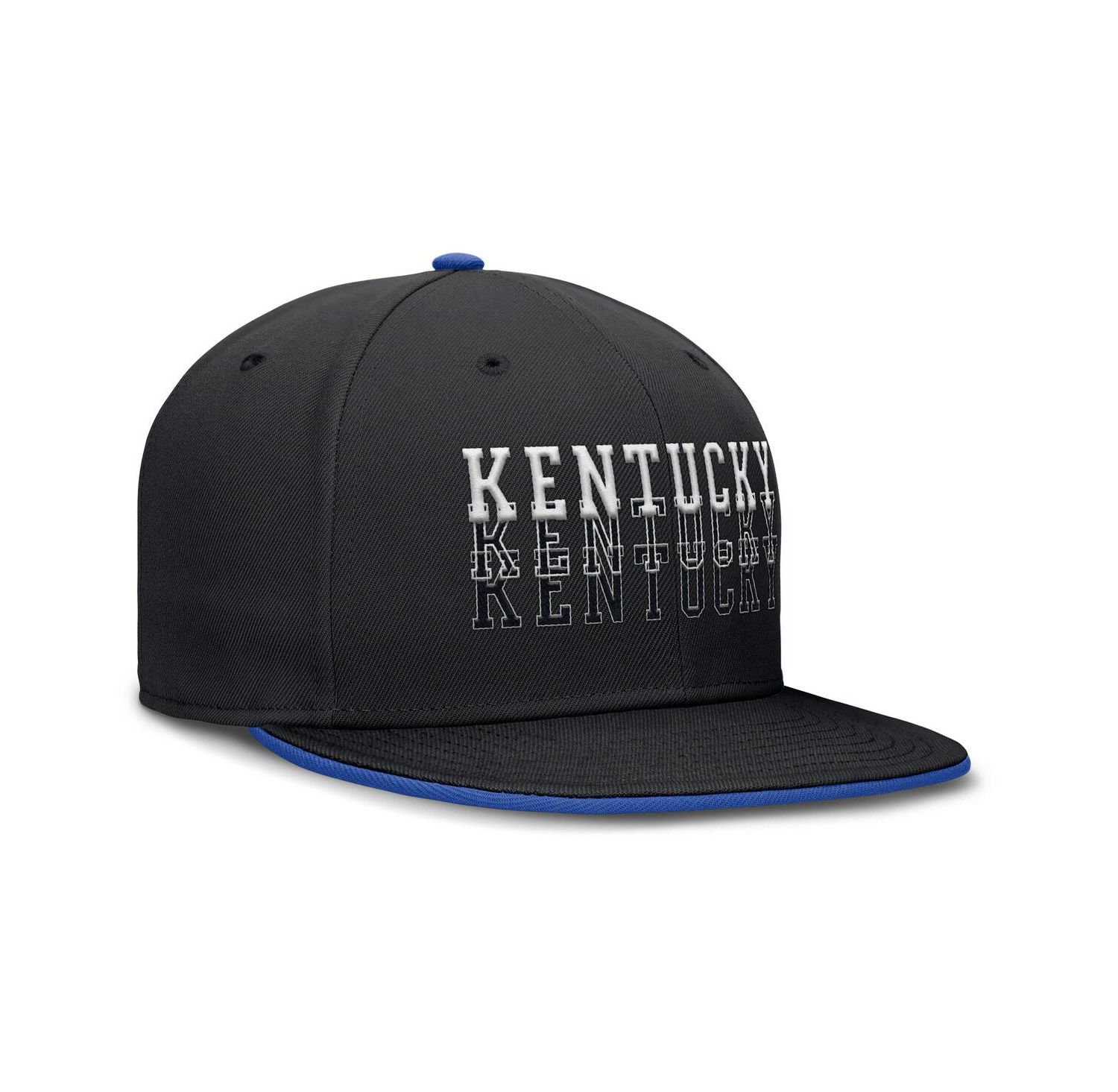 Men's Black Kentucky Wildcats True Primetime Performance Fitted Hat