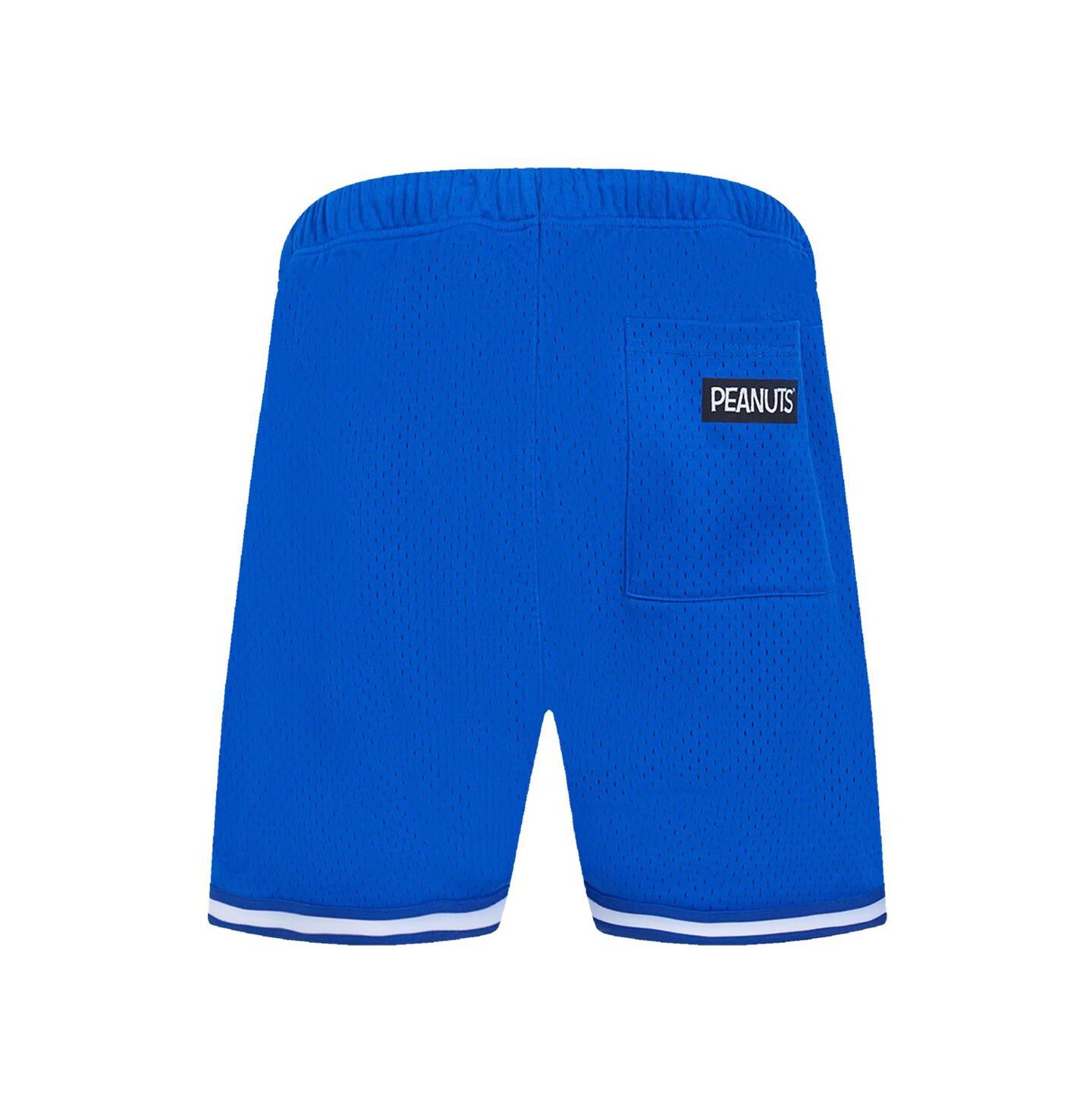Мужские шорты Freeze Max Royal Peanuts Snoopy Good Grief Mesh — фото 3