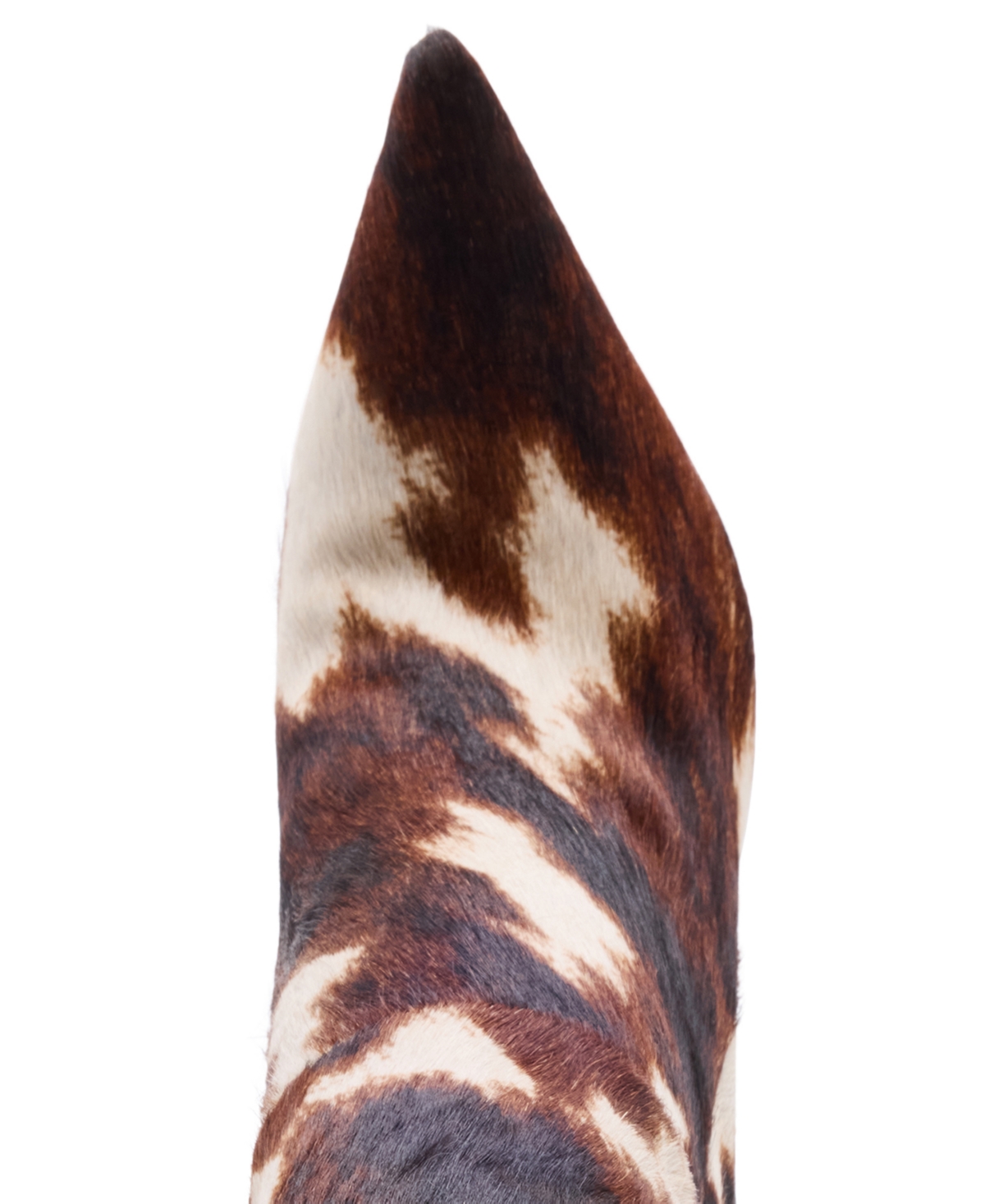 Steve Madden Women's Nitro-c Knee-high Stiletto Dress Boots In Animal Print