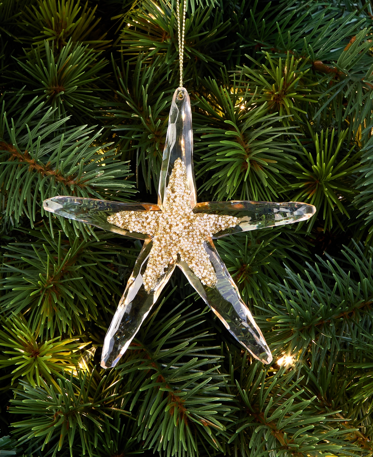 Holiday Lane Seaside Starfish Embellished Ornament, Macy's Exclusive In Brown