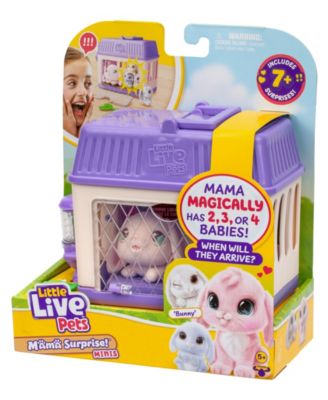 Mama Surprise Mini Playset- Styles May Vary