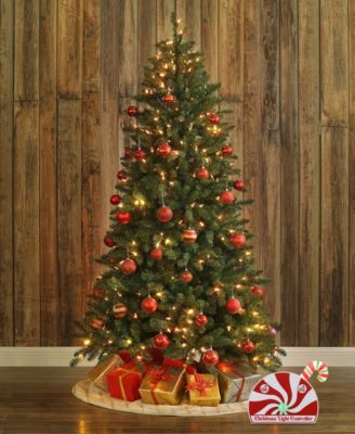 Outdoor Lights and Sounds Musical Light Show Controller