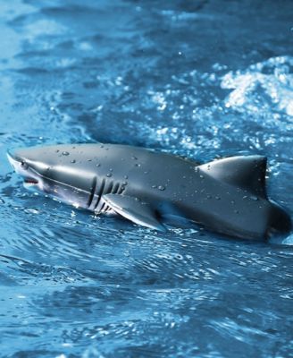 Remote Control Speedboat