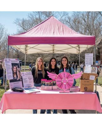 WinSpin 12" Pink Angel Prize Wheel Tabletop Spinning 8 Slots Party Events Club