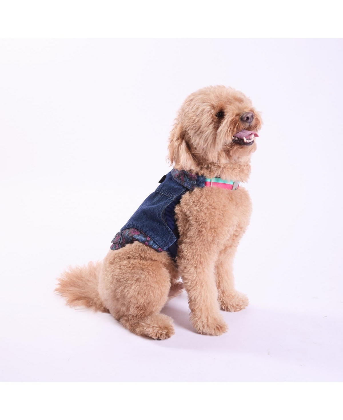 Trina Turk Denim Jacket & Harness Set