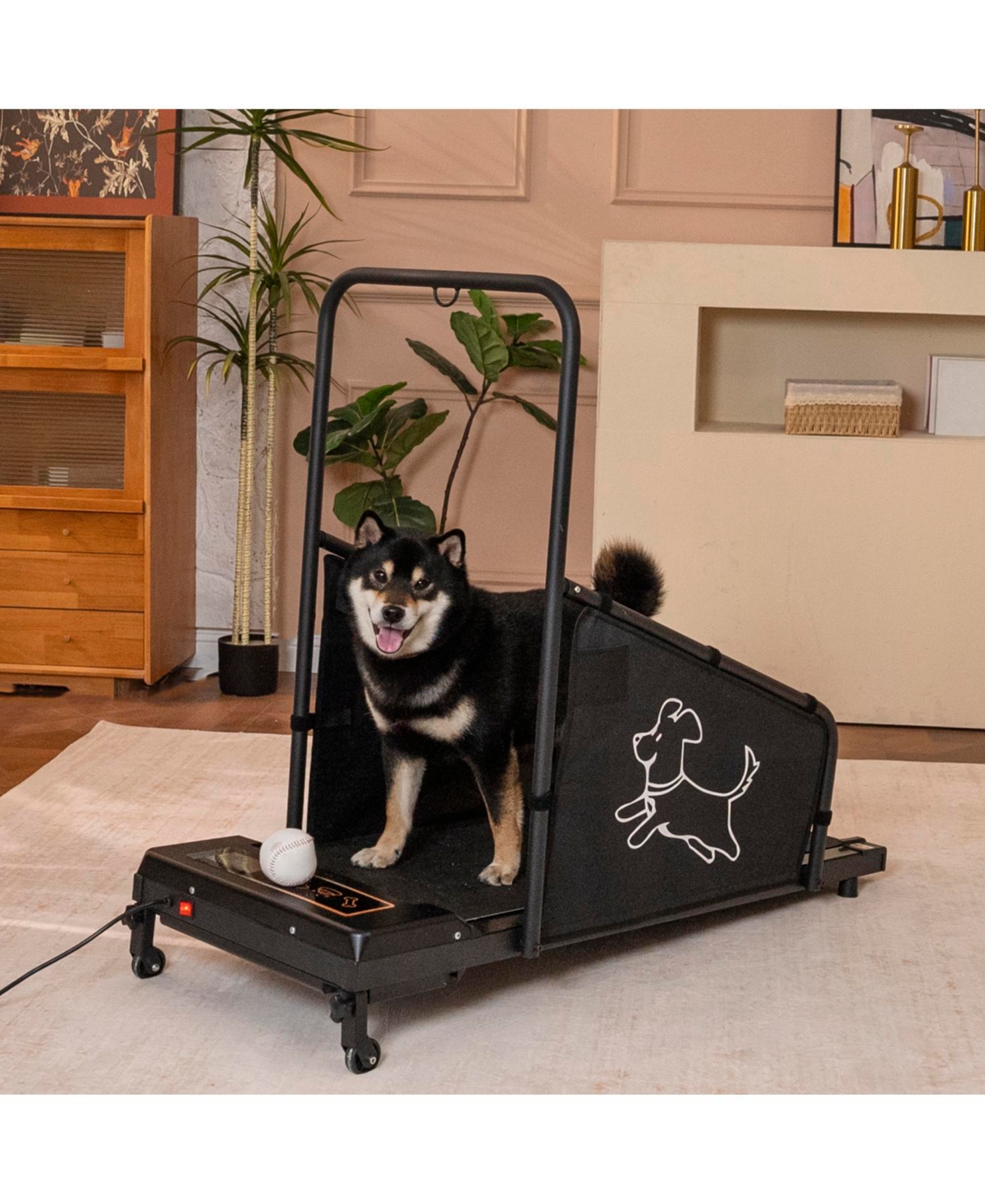 Dog Pacer Treadmill - Medium Dogs - Black