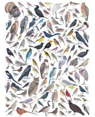 Birds of Western North America 1000 Piece Puzzle