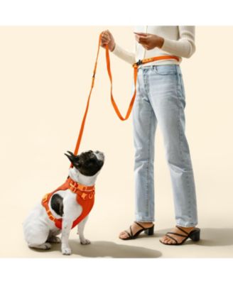 Luna 8FT Adjustable 6-in-1 Waterproof Hands-Free Leash and Collar with LED Flashlight, Bag Dispenser, and Poop Bag Holder