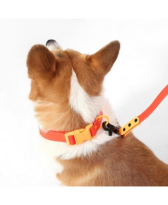 Luna 8FT Adjustable 6-in-1 Waterproof Hands-Free Leash and Collar with LED Flashlight, Bag Dispenser, and Poop Bag Holder