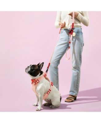 Luna 8FT Adjustable 6-in-1 Waterproof Hands-Free Leash and Collar with LED Flashlight, Bag Dispenser, and Poop Bag Holder