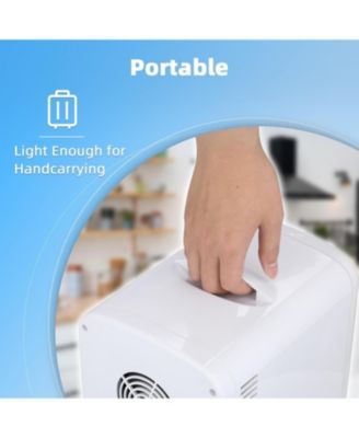 4L Capacity/6 Cans Compact Refrigerator, Portable Mini Fridge,for Bedroom, Car/Office/Dorm, Small Cooler for Cosmetics,Brushed Stainless Steel Door