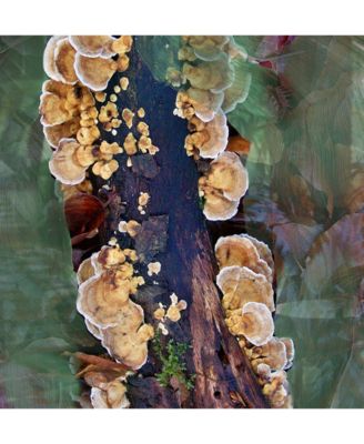 Oud Immortel Eau de Parfum Spray, 1.6 oz.