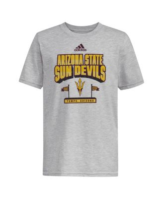 Men's Gray Arizona State Sun Devils Stake Our Claim T-Shirt