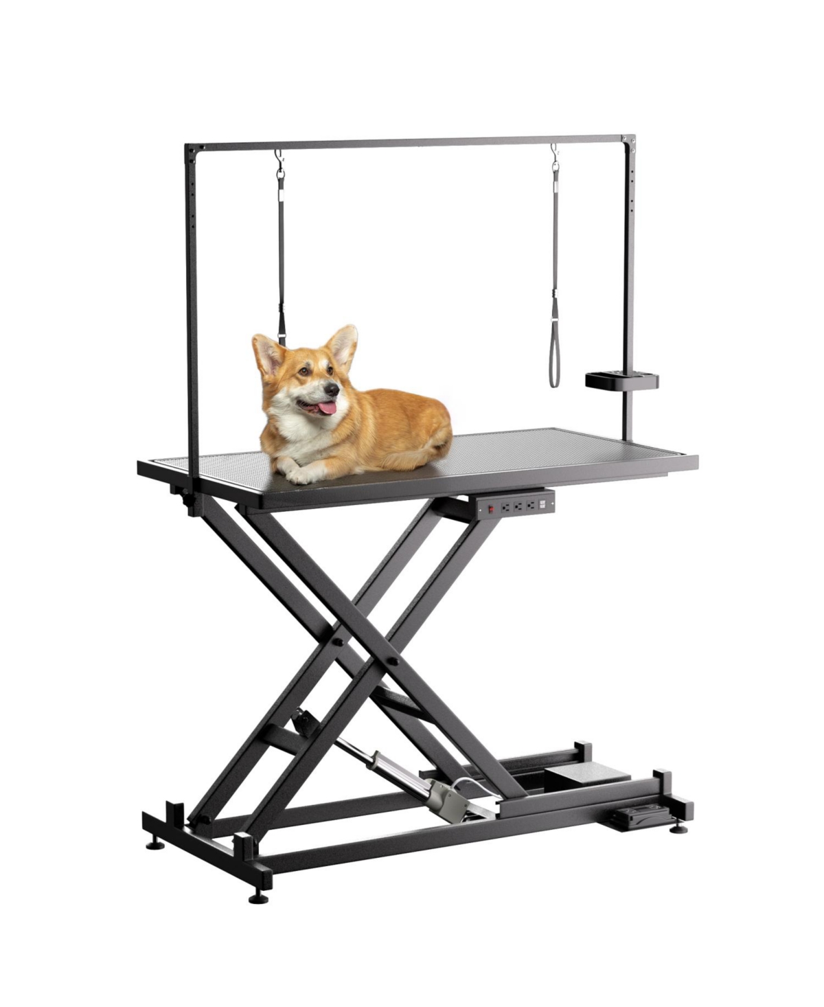 Professional Electric Dog Grooming Table (50&#x22;, Black) - Black