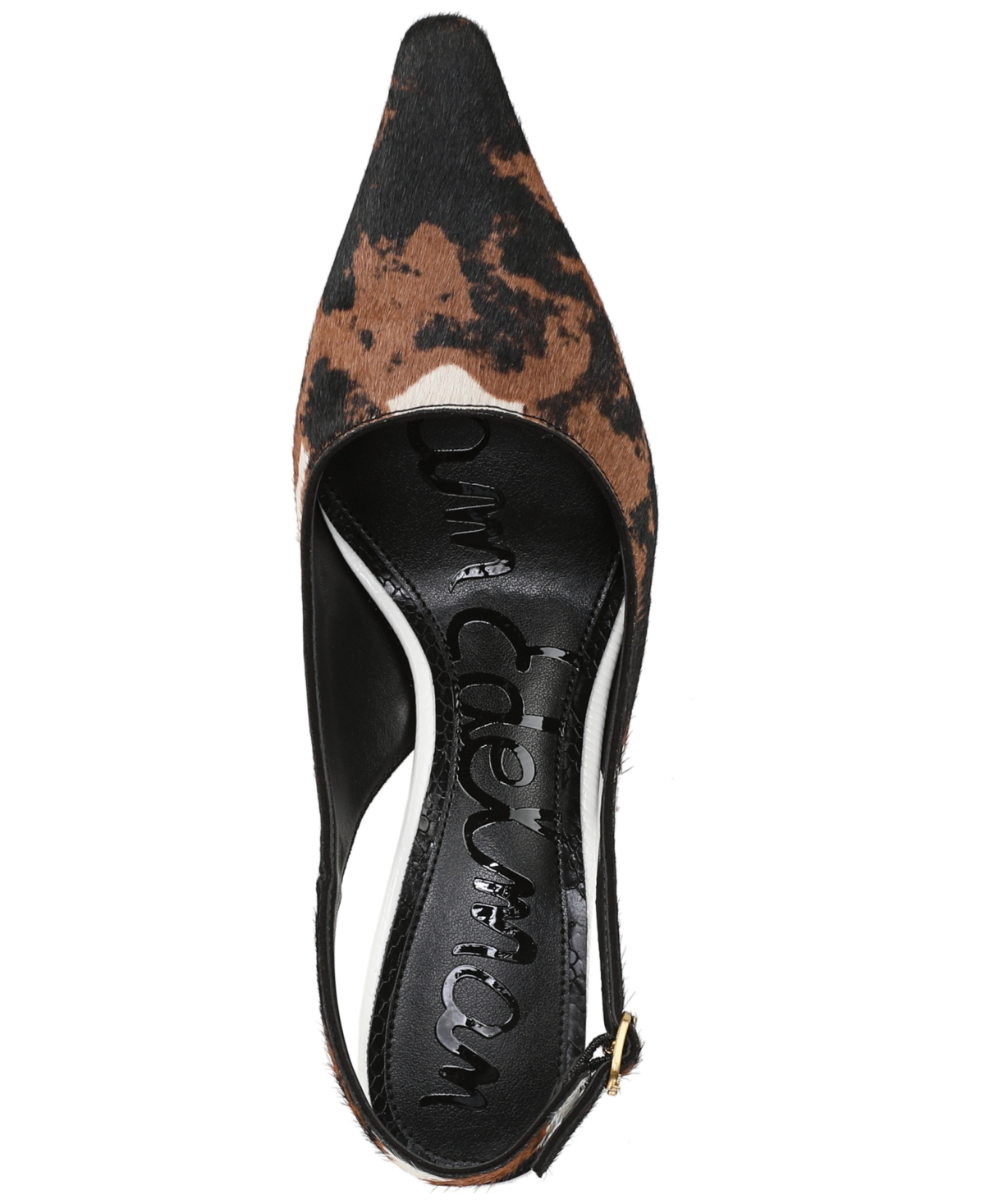 Sam Edelman Bianka Slingback Pointed Toe Pump In Brown