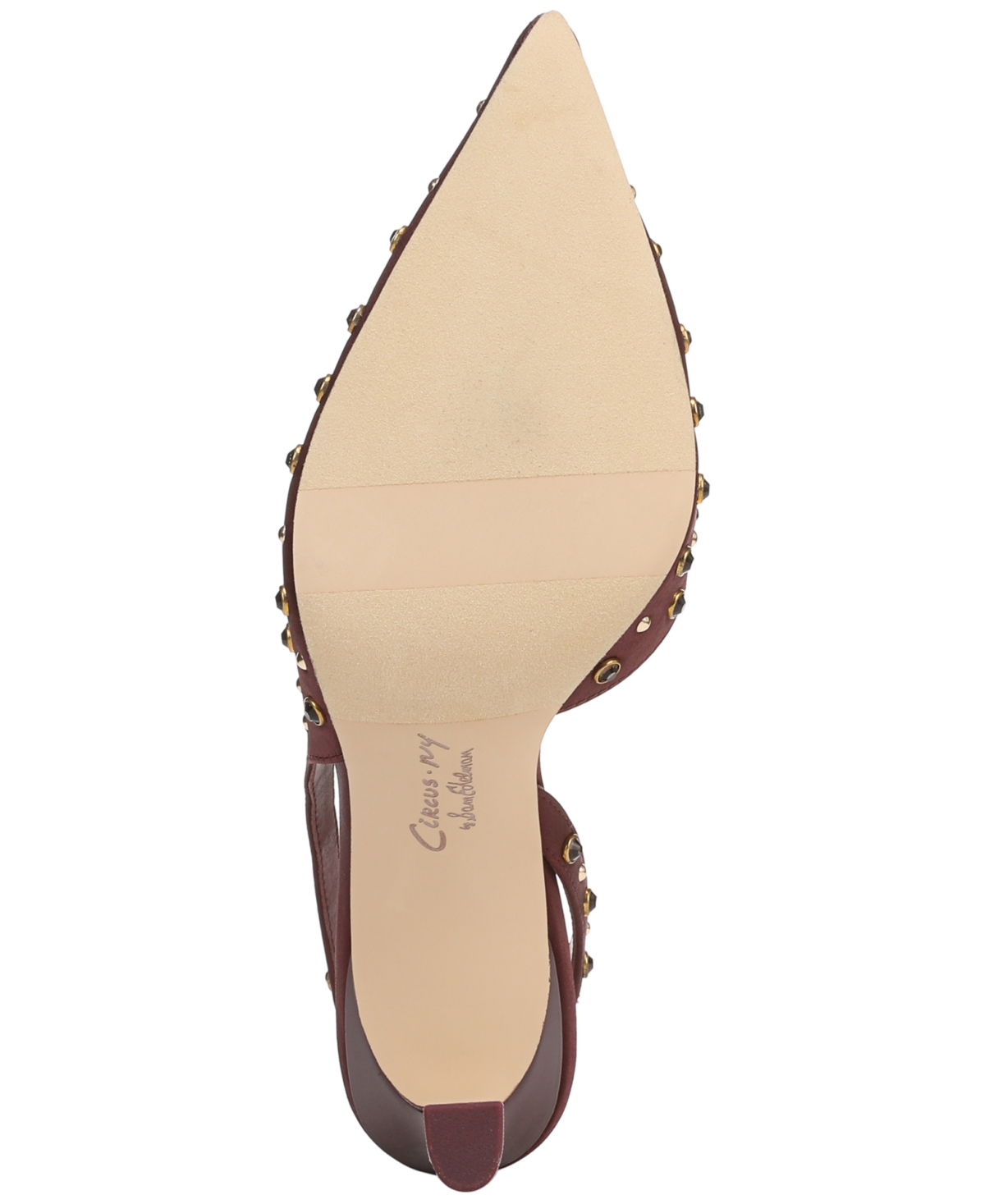 Circus Ny By Sam Edelman Tallie Pointed Toe Slingback Pump In Burgundy