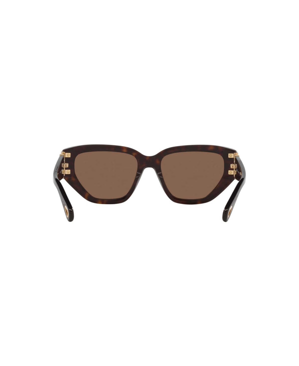 Chloé Women's Cat Eye Sunglasses, Ch0235s 6n000529 In Brown