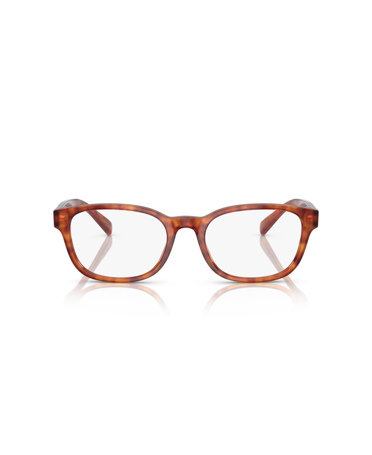 Мужские очки Polo Ralph Lauren Man Panthos Plastic PH2244 Eyeglasses, цвет: Блестящий красный гавана — фото 2