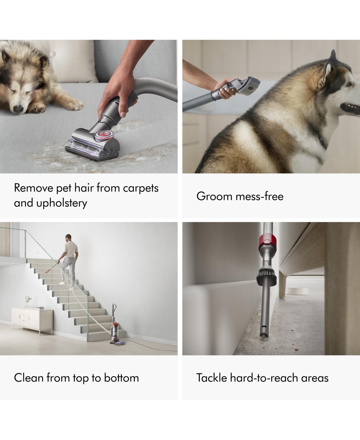 Dyson Ball Animal 3 Extra Upright Vacuum