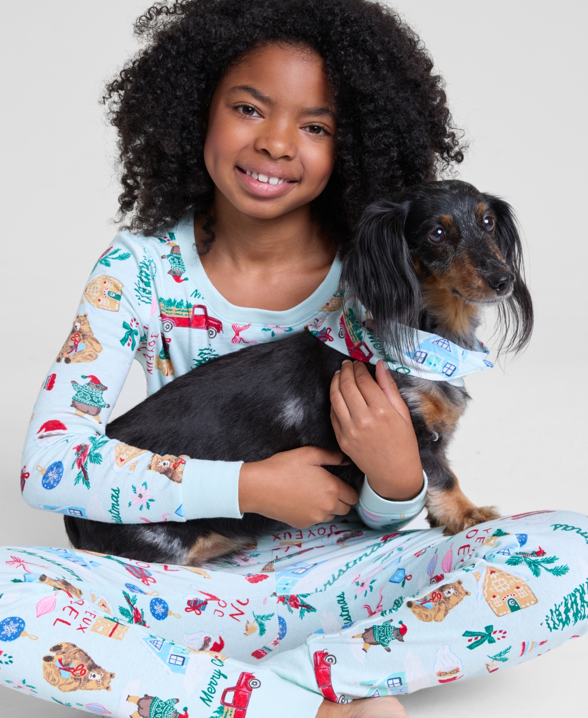Holiday Lane Winter Pet Bandana, Macy's Exclusive