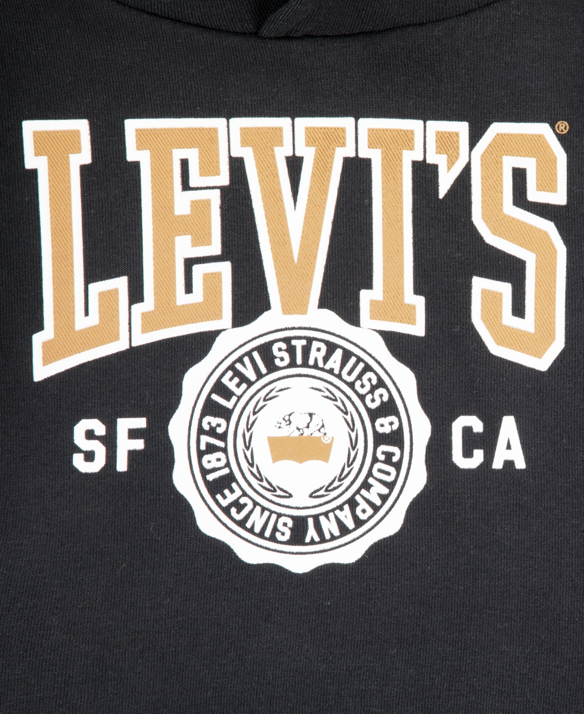 Levi's Toddler Boys 2-Piece Pullover Hoodie and Joggers Set