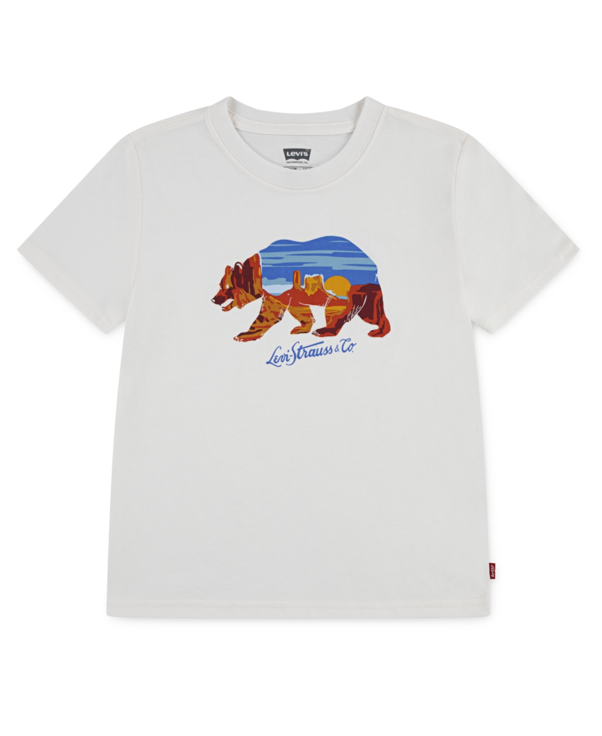 Levi's Big Boys Scenic Bear Short Sleeve T-shirt In White