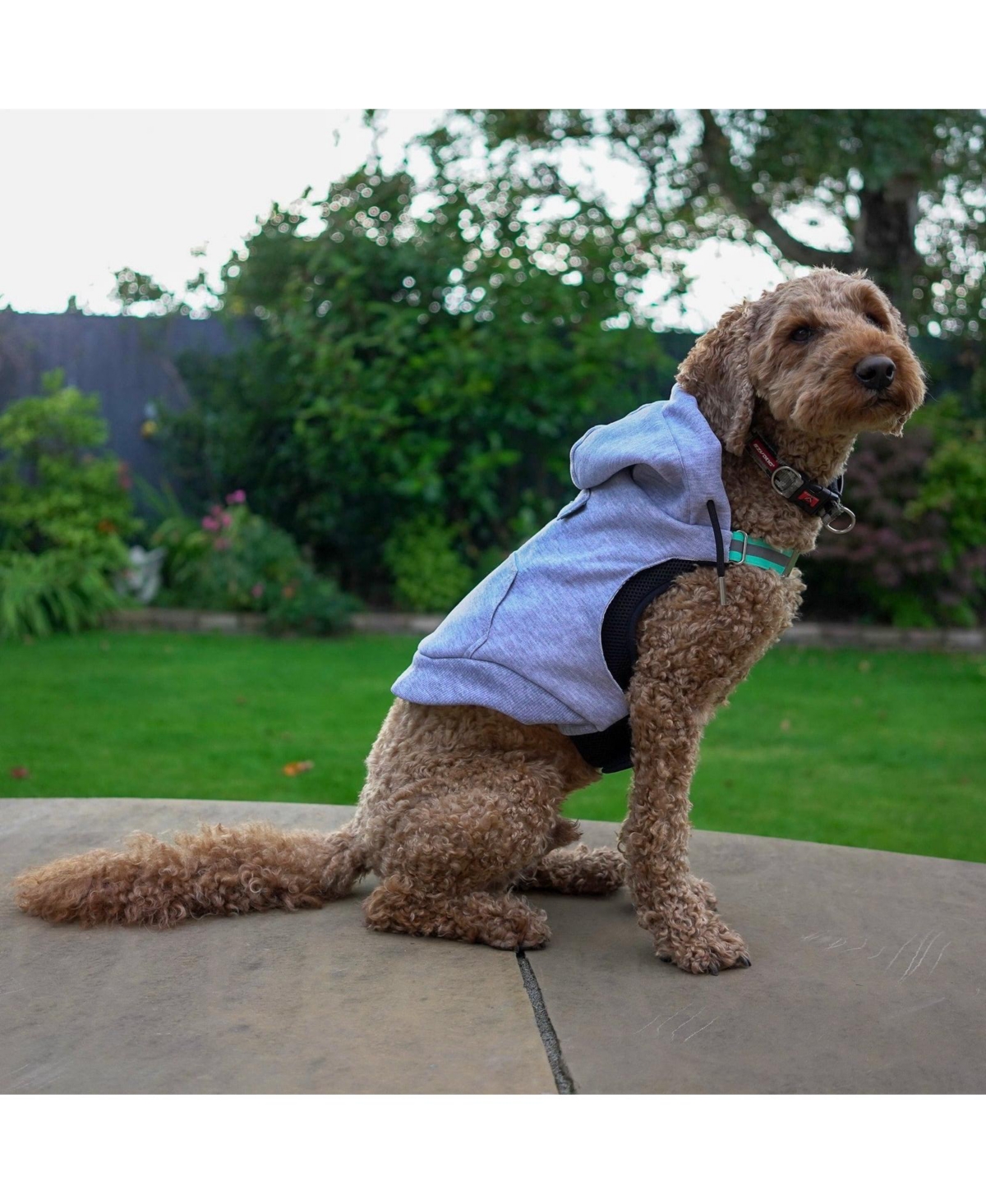 K9 Wear Starter Kit with Genuine Leather Jacket