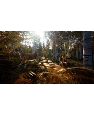 Hunting Simulator 2 - PlayStation 5